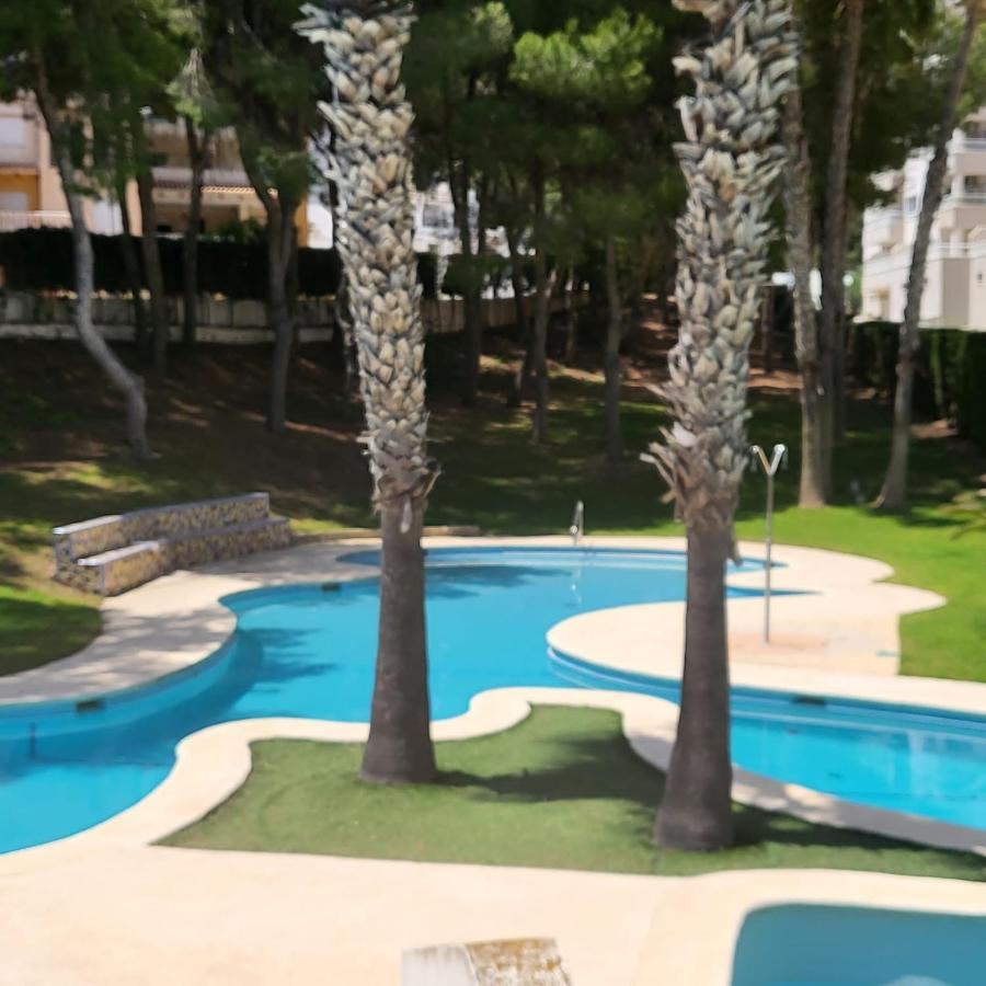 Apartamento Ines, Dehesa De Campoamor,900M From The Sea , Swimming Pool & Tennis Court Екстериор снимка